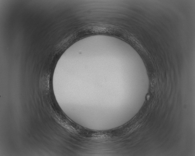 X0000082930454200702222224