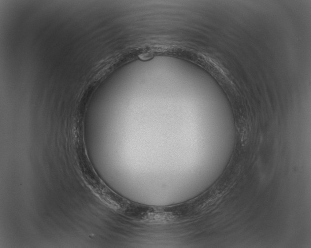 X0000082930455200702222224