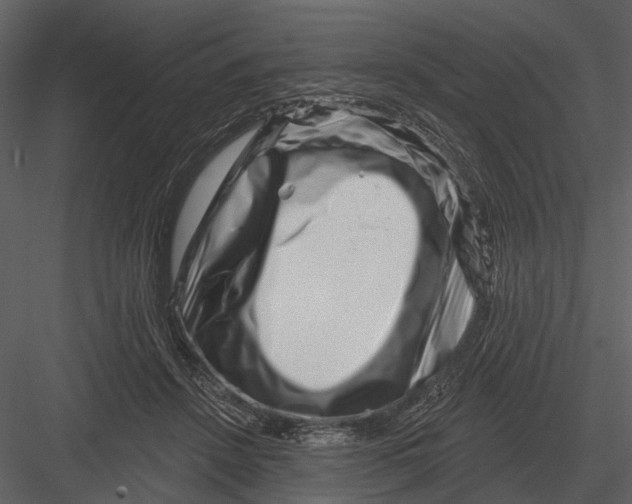 X0000082930456200702222224