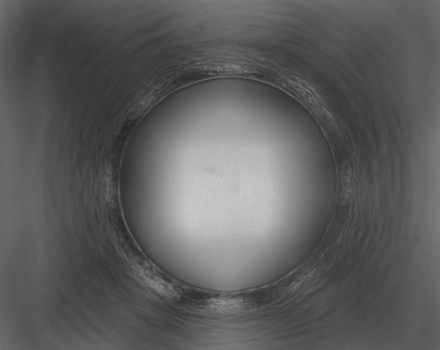 X0000082930457200702222224