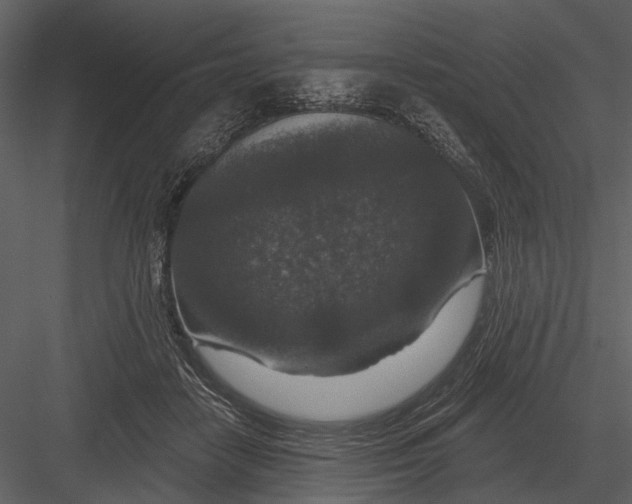 X0000082930458200702222224