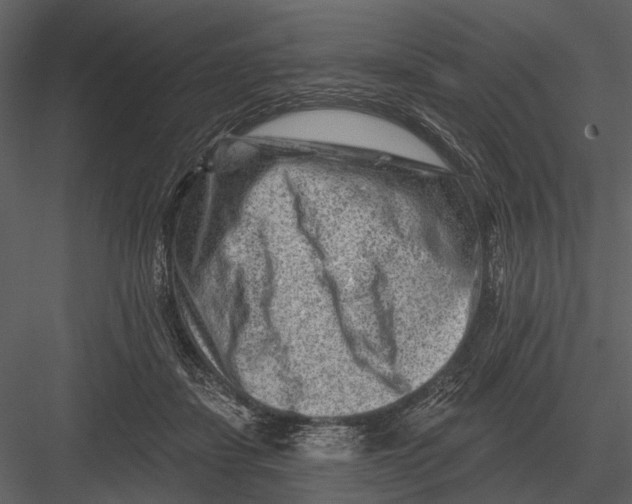 X0000082930459200702222224