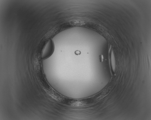 X0000082930460200702222224