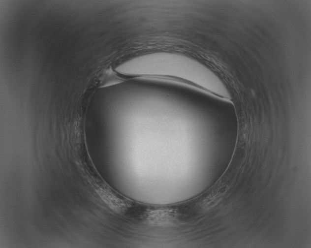 X0000082930461200702222224