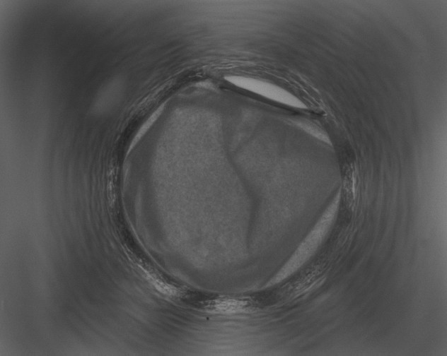 X0000082930462200702222224