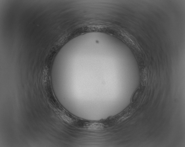 X0000082930463200702222224