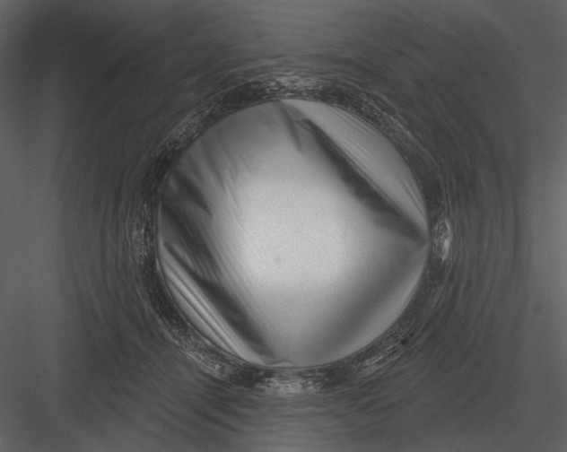 X0000082930464200702222224