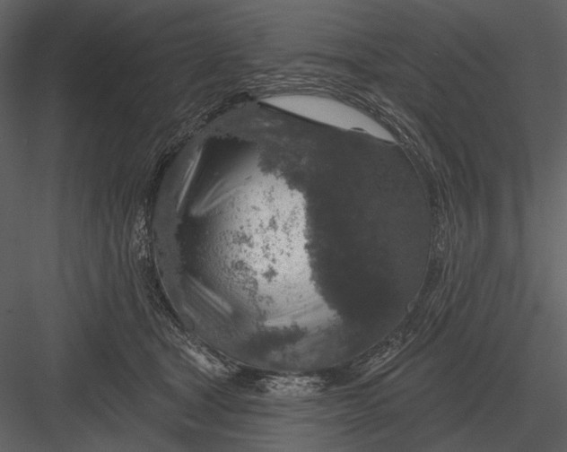 X0000082930465200702222224