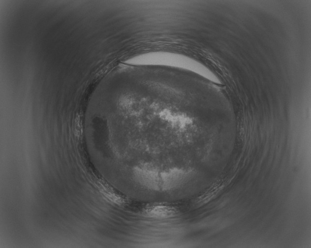 X0000082930467200702222224