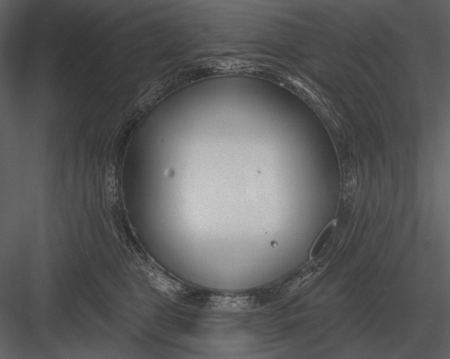 X0000082930469200702222224