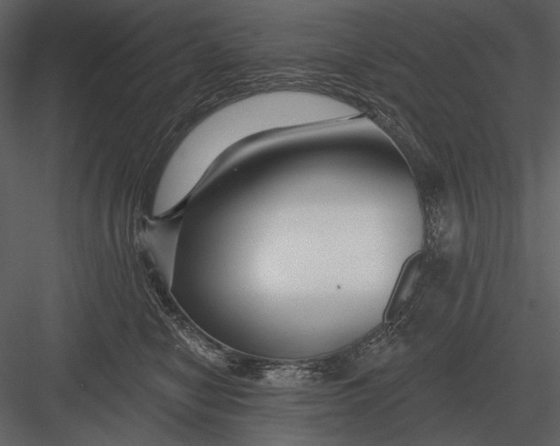 X0000082930470200702222224