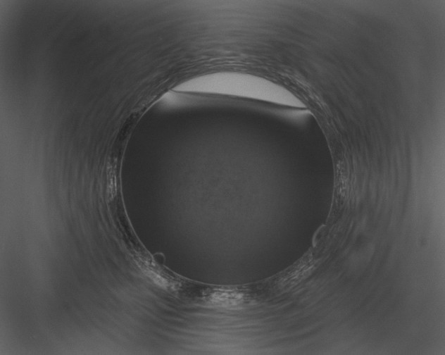 X0000082930471200702222224