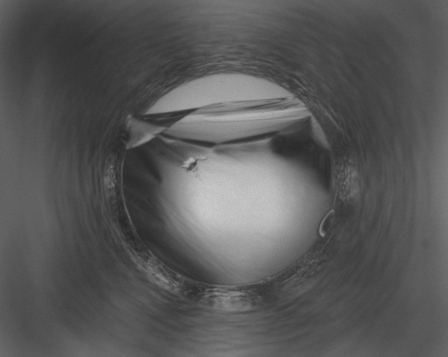 X0000082930472200702222224