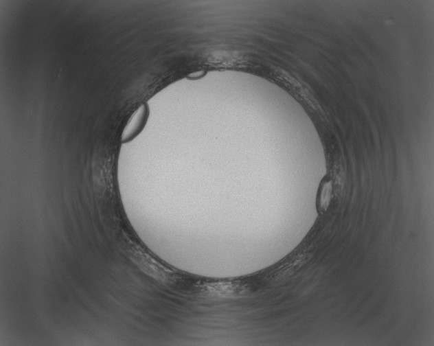 X0000082930473200702222224