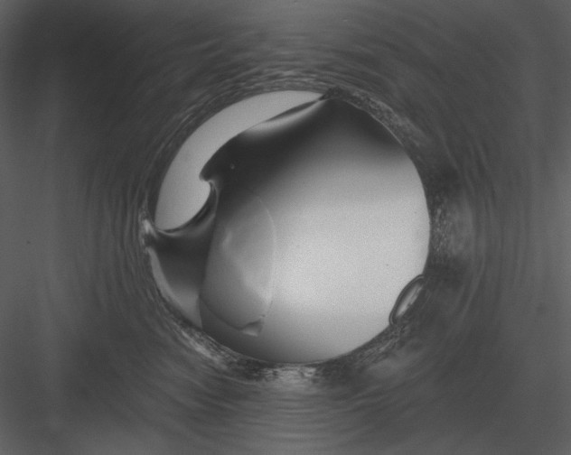 X0000082930474200702222224