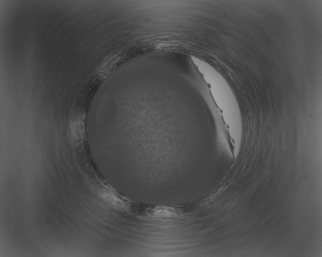 X0000082930475200702222224