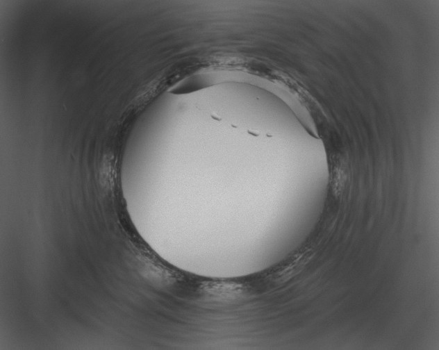 X0000082930476200702222224