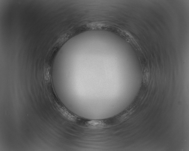 X0000082930477200702222224