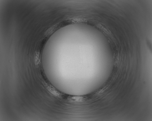 X0000082930478200702222224