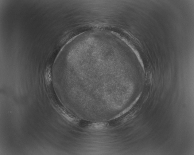 X0000082930479200702222224