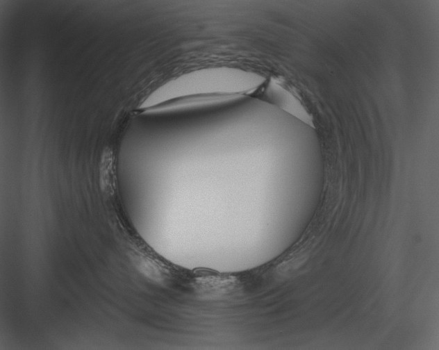 X0000082930480200702222224