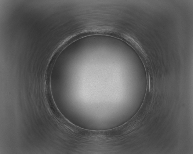 X0000082930483200702222223