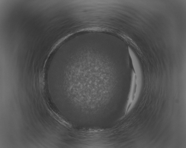 X0000082930484200702222223