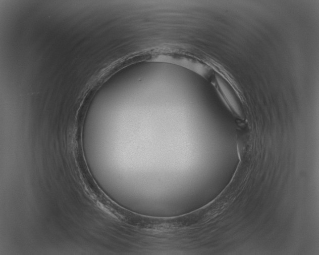 X0000082930485200702222223