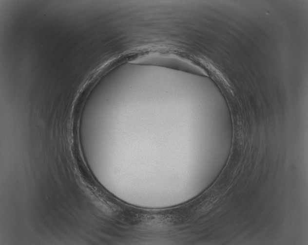 X0000082930486200702222223