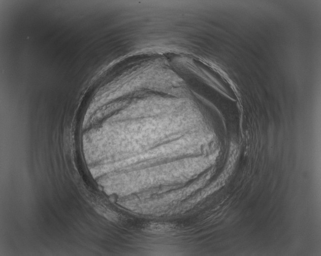 X0000082930487200702222223