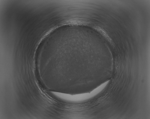 X0000082930488200702222223