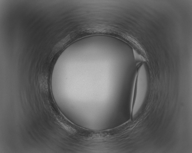 X0000082930489200702222223