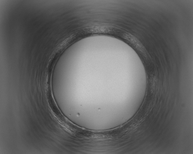 X0000082930490200702222223