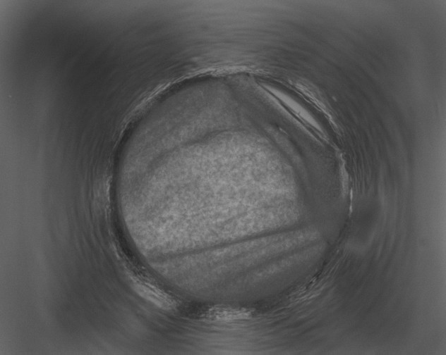 X0000082930491200702222223