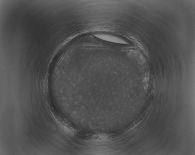 X0000082930492200702222223