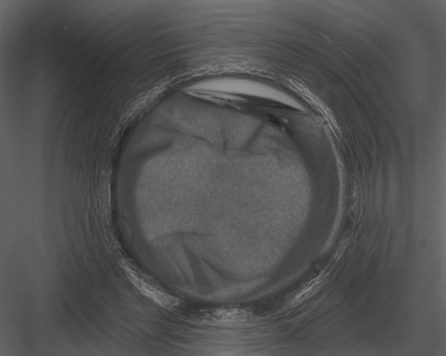 X0000082930493200702222223