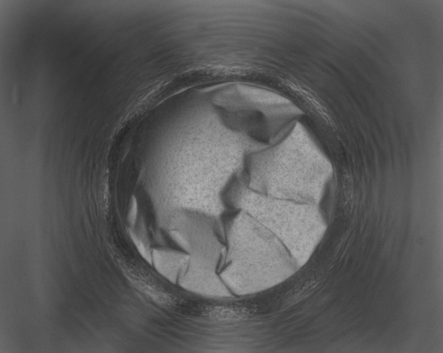 X0000082930494200702222223