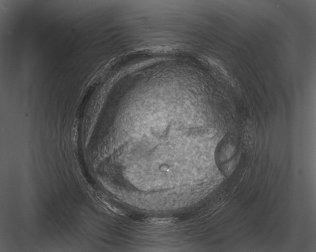 X0000082930495200702222223