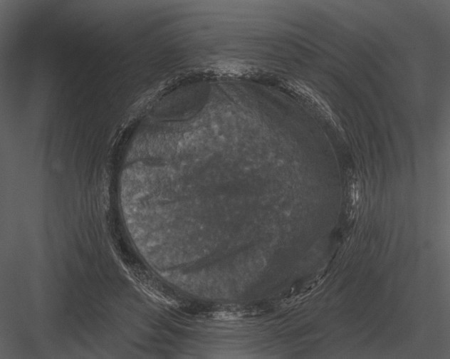 X0000082930496200702222223