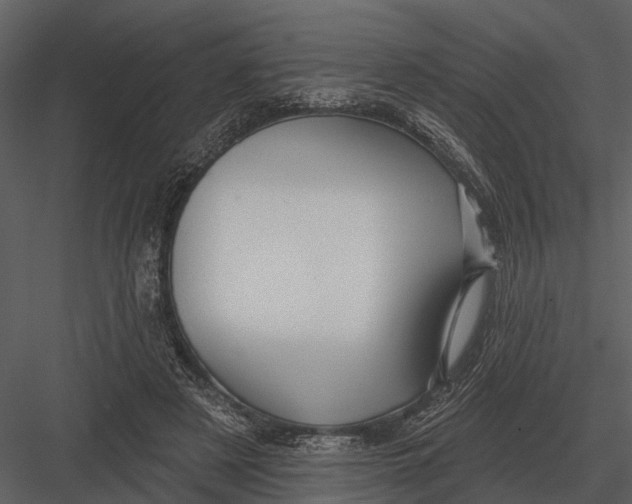 X0000082930497200702222223