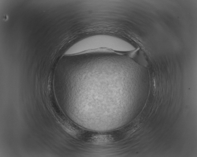 X0000082930499200702222223