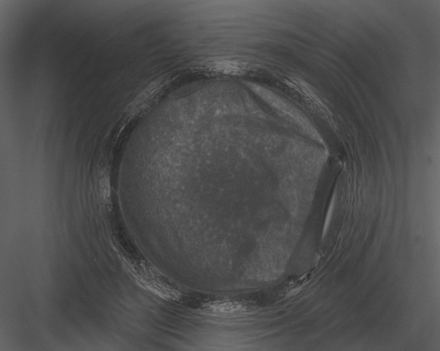 X0000082930500200702222223