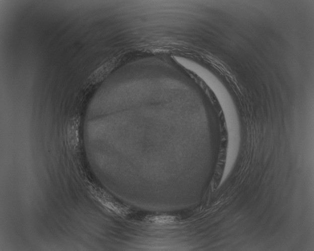 X0000082930501200702222223