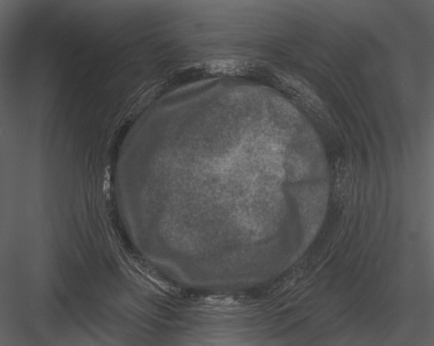 X0000082930502200702222223