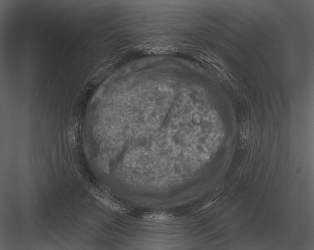 X0000082930503200702222223