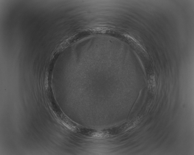 X0000082930504200702222223