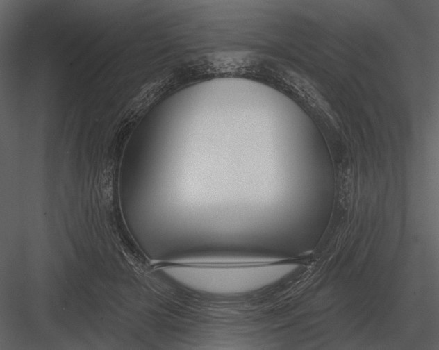 X0000082930505200702222223