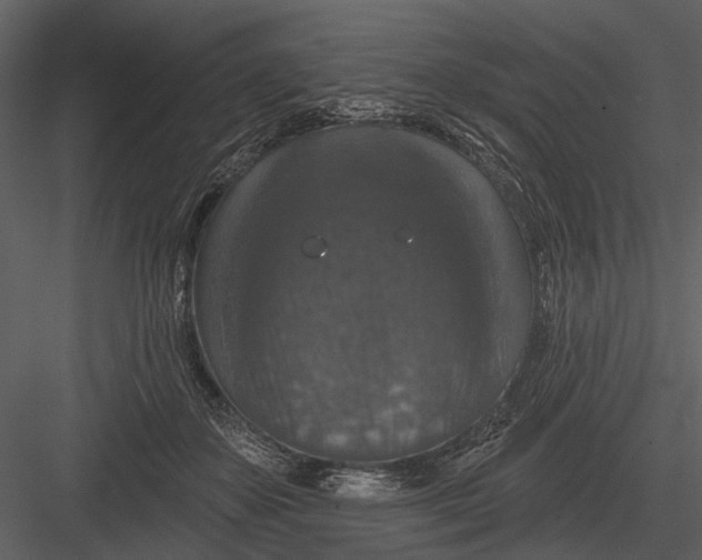 X0000082930507200702222223