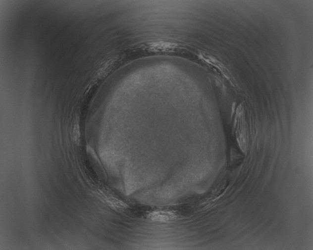 X0000082930508200702222223