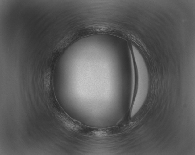 X0000082930509200702222223